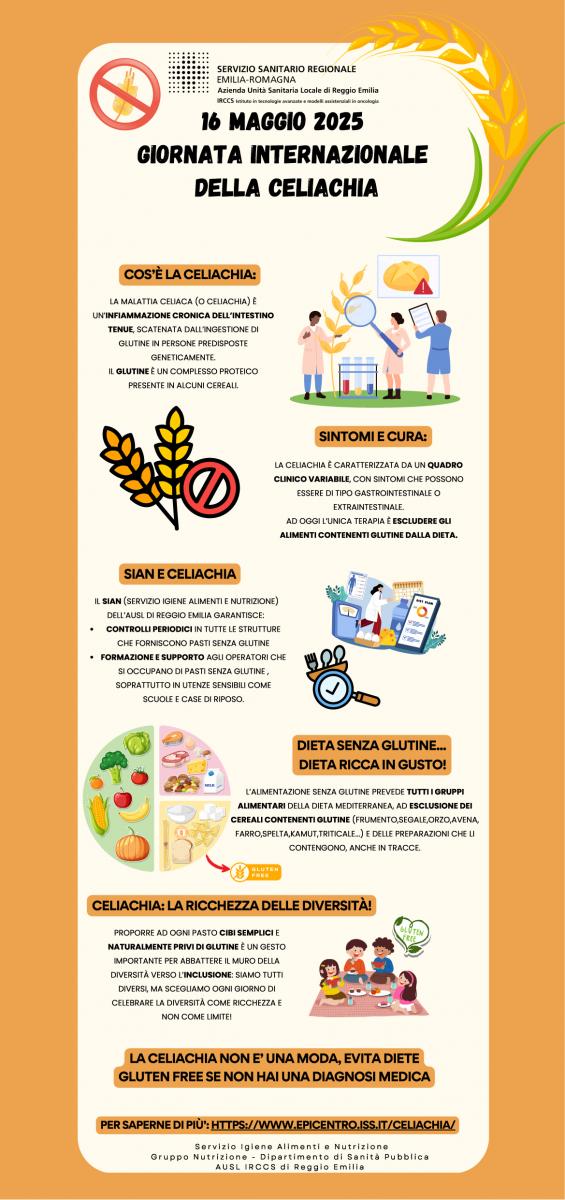 Infografica