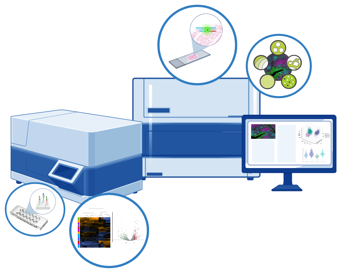 Digital Multiplexed and Spatial Profiling