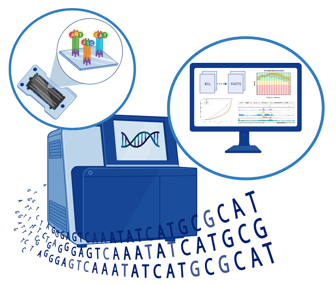 Next Generation Sequencing