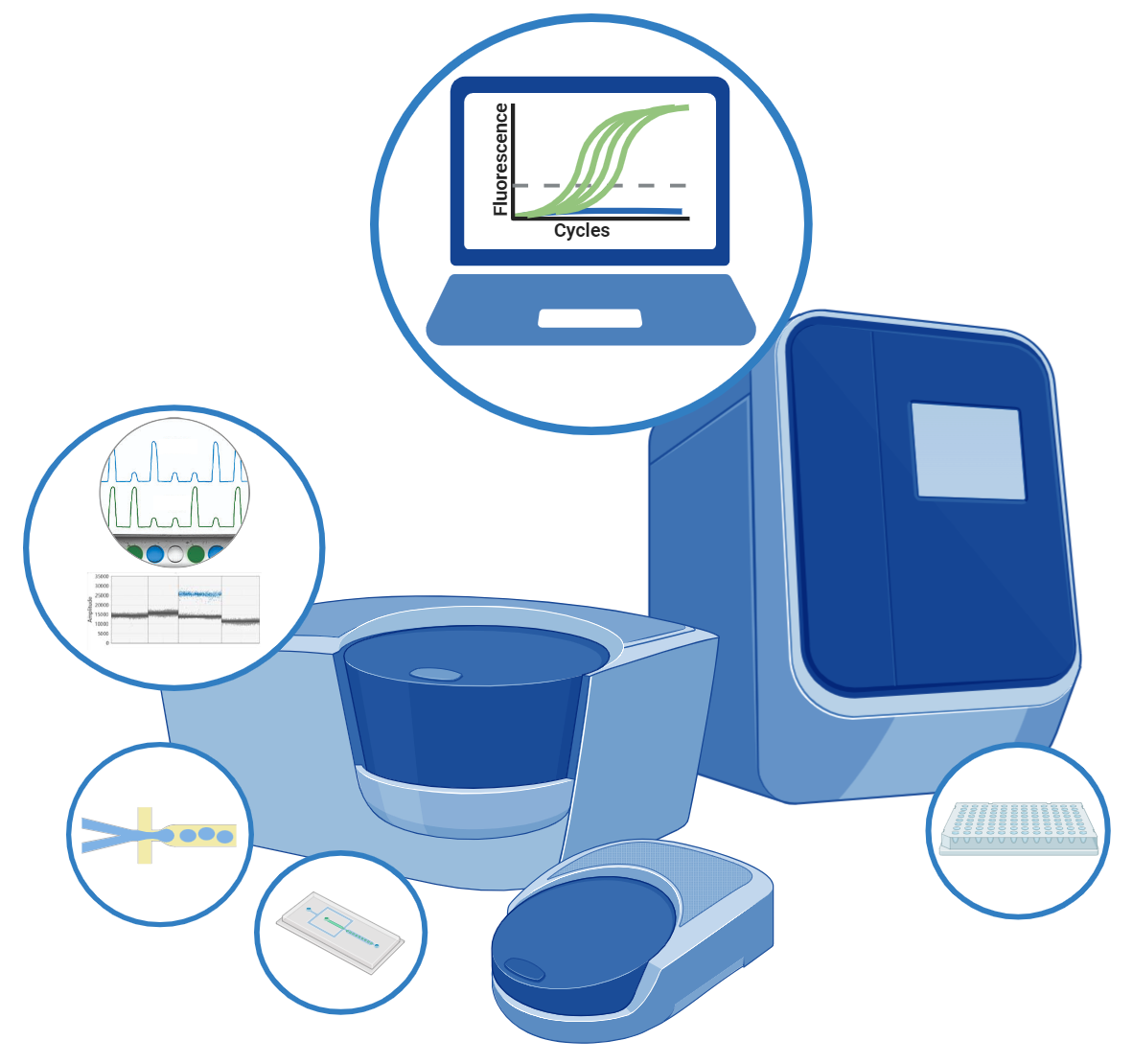 Quantitative Digital PCR