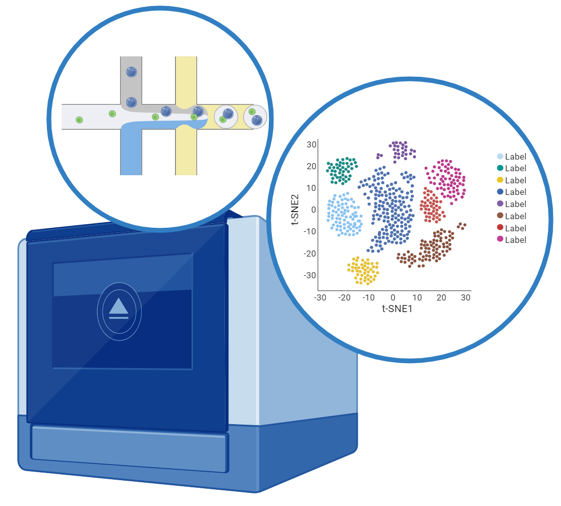  Single Cell Analysis