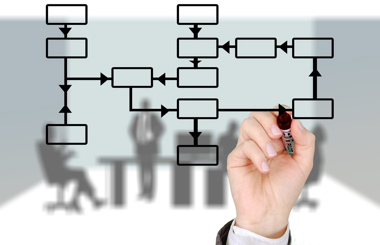 Organizzazione