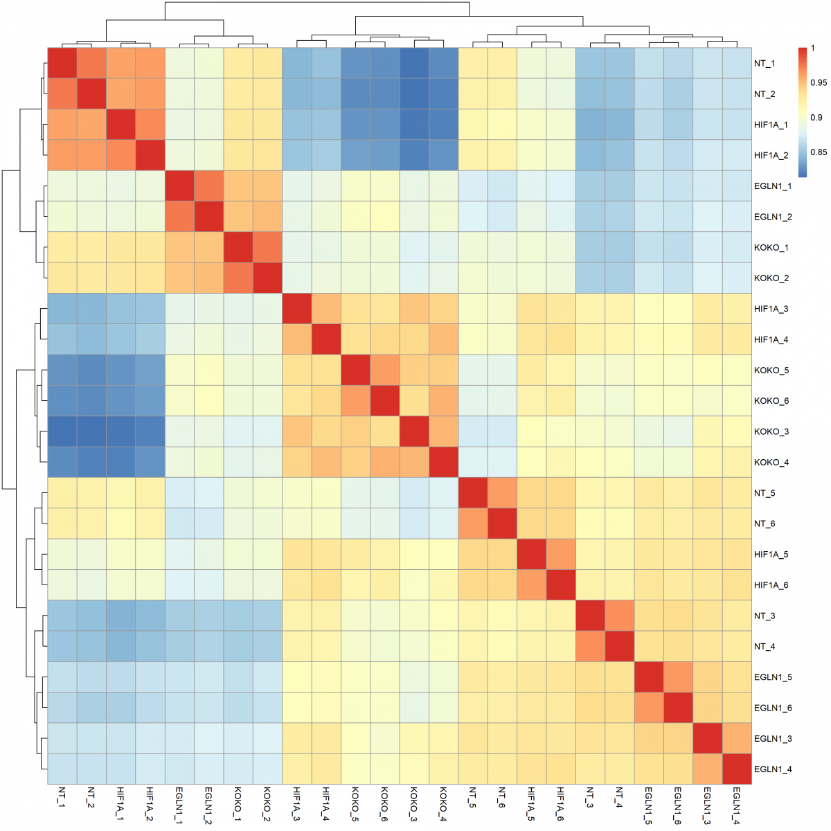 Genomics CORE facility