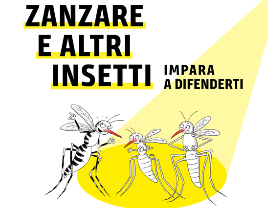Zanzara e altri insetti